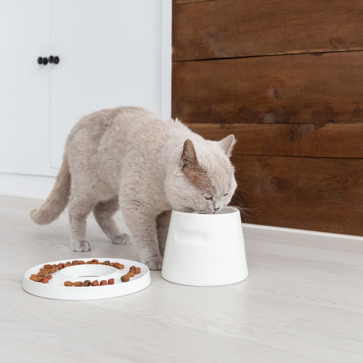 Miska Tower feeder Biela - 3